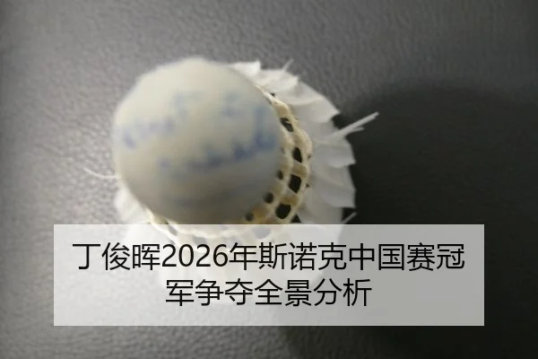 ding-jun-hui-nian-si-nuo-ke-zhong-guo-sai-guan-jun-zheng-duo-quan-jing-fen-xi-2-706.jpg
